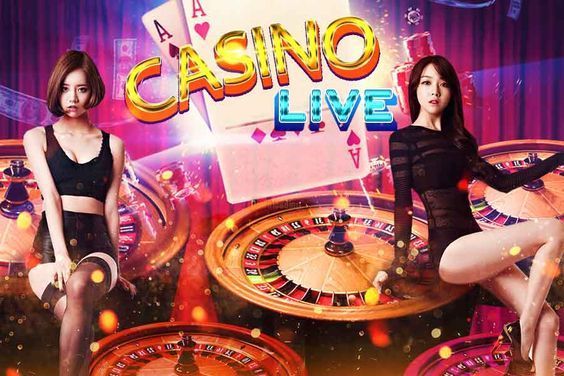 pakrummycom Live Casino